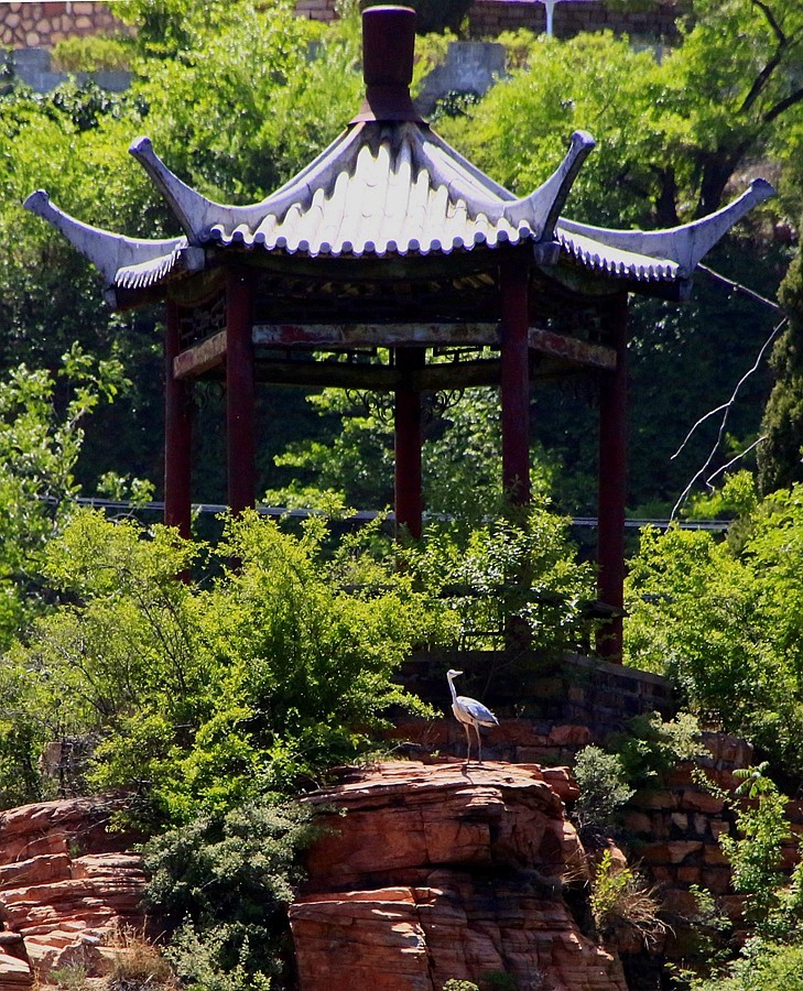 《不老松：纪实摄影》【大好河山系列报導】邯郸游摄！京娘湖景区！  (11)在游船上打到