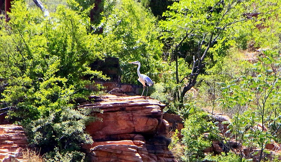 《不老松：纪实摄影》【大好河山系列报導】邯郸游摄！京娘湖景区！  (11)在游船上打到