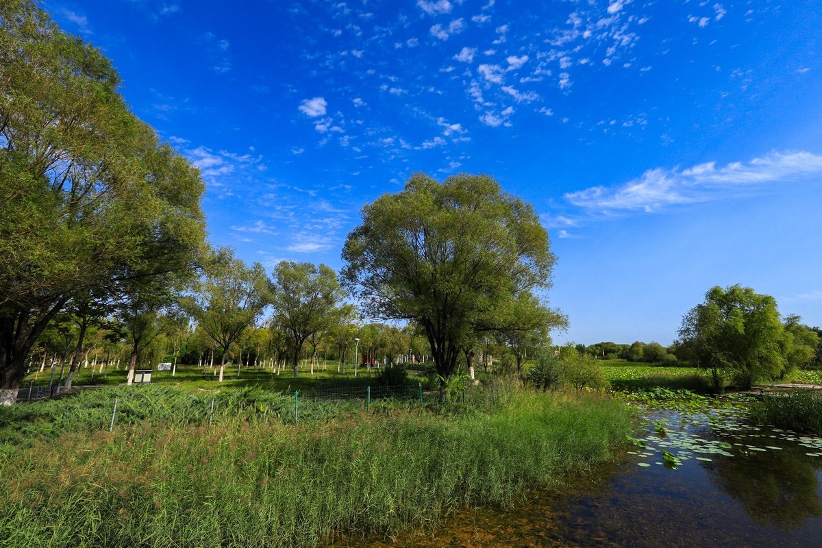 溜腿——溜机——溜乐趣（2）