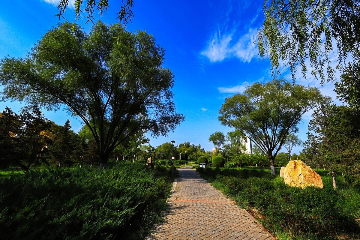 溜腿——溜机——溜乐趣（2）