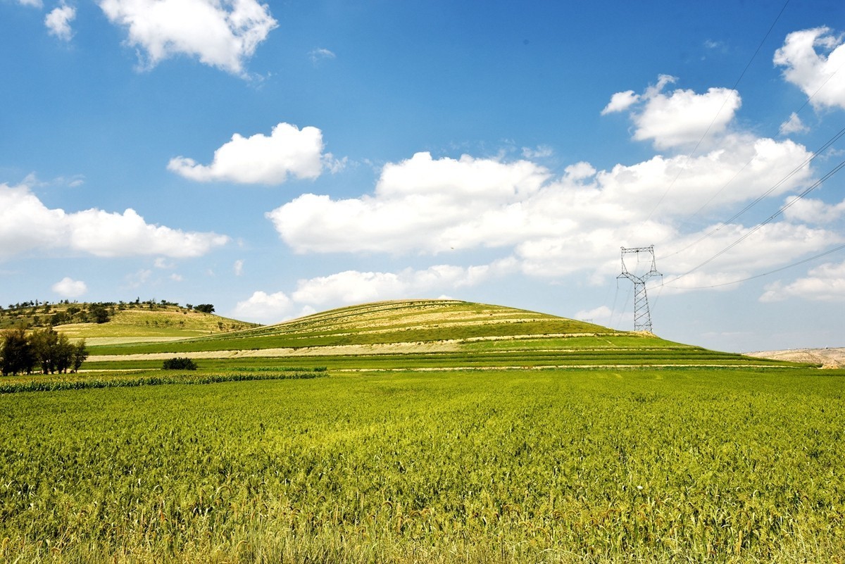 世界红花荞麦原产地——中国定边【3】