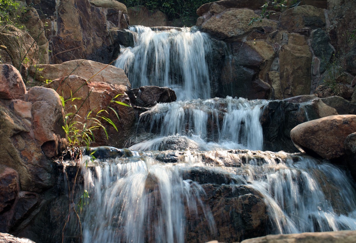 上海世博文化公园（慢门）