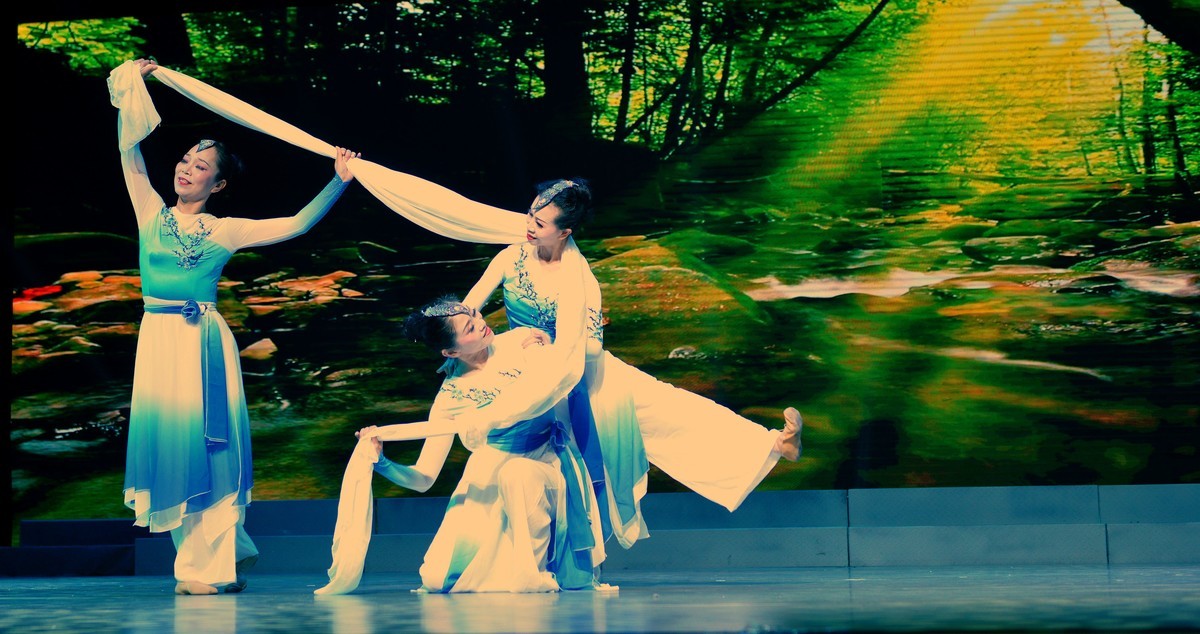 湖北省老年大学舞蹈团部分精彩演出