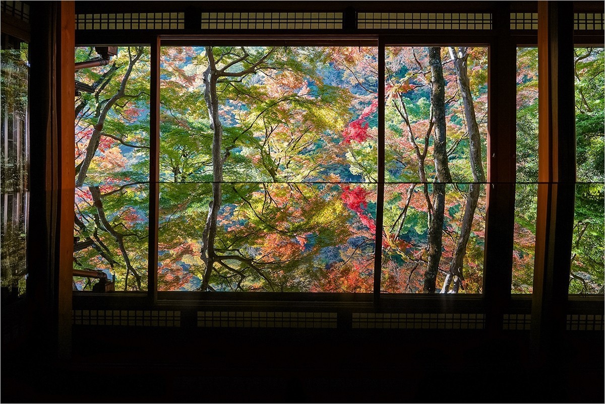 2025年第0050贴-京都岚山佑斋亭旅拍（0117）