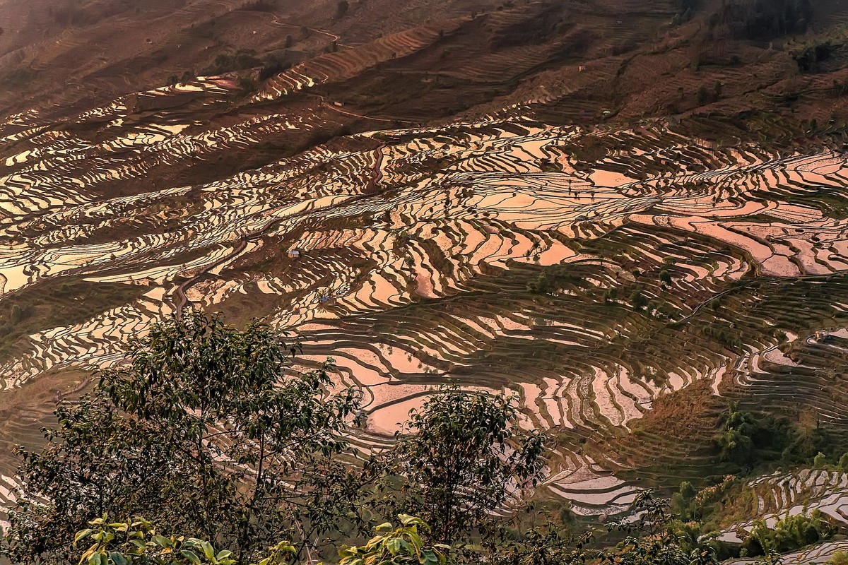 红河 · 撒玛坝梯田
