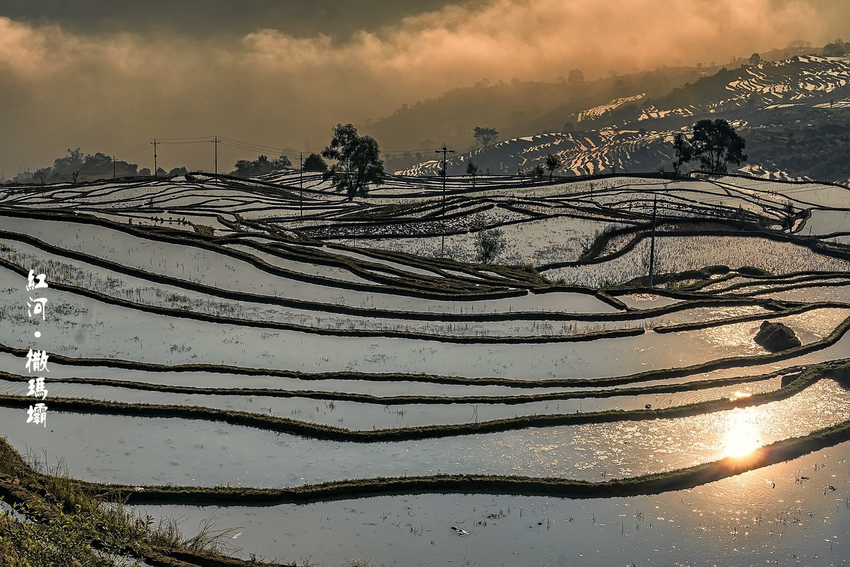 红河 · 撒玛坝梯田