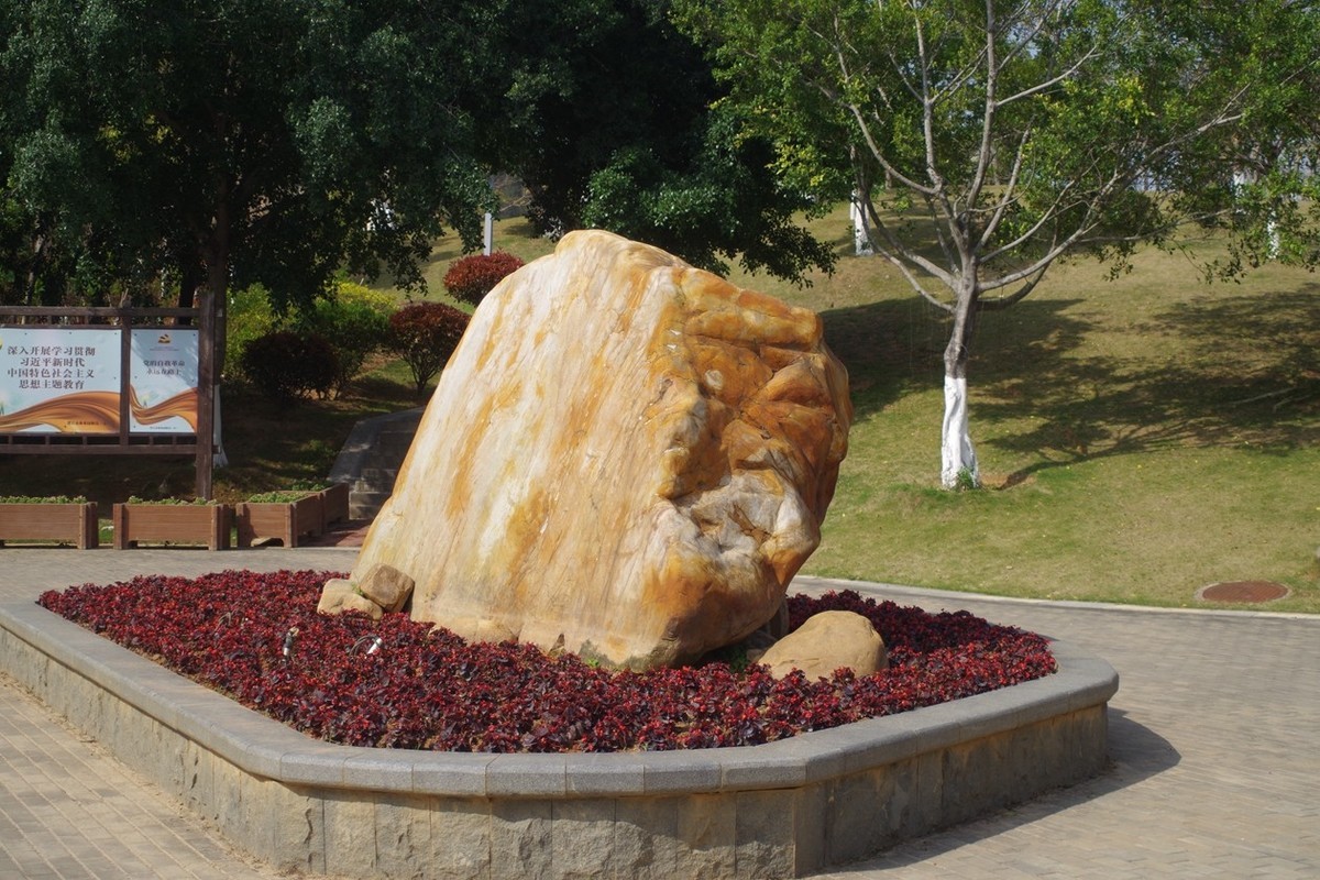 宾得F头试拍（三）