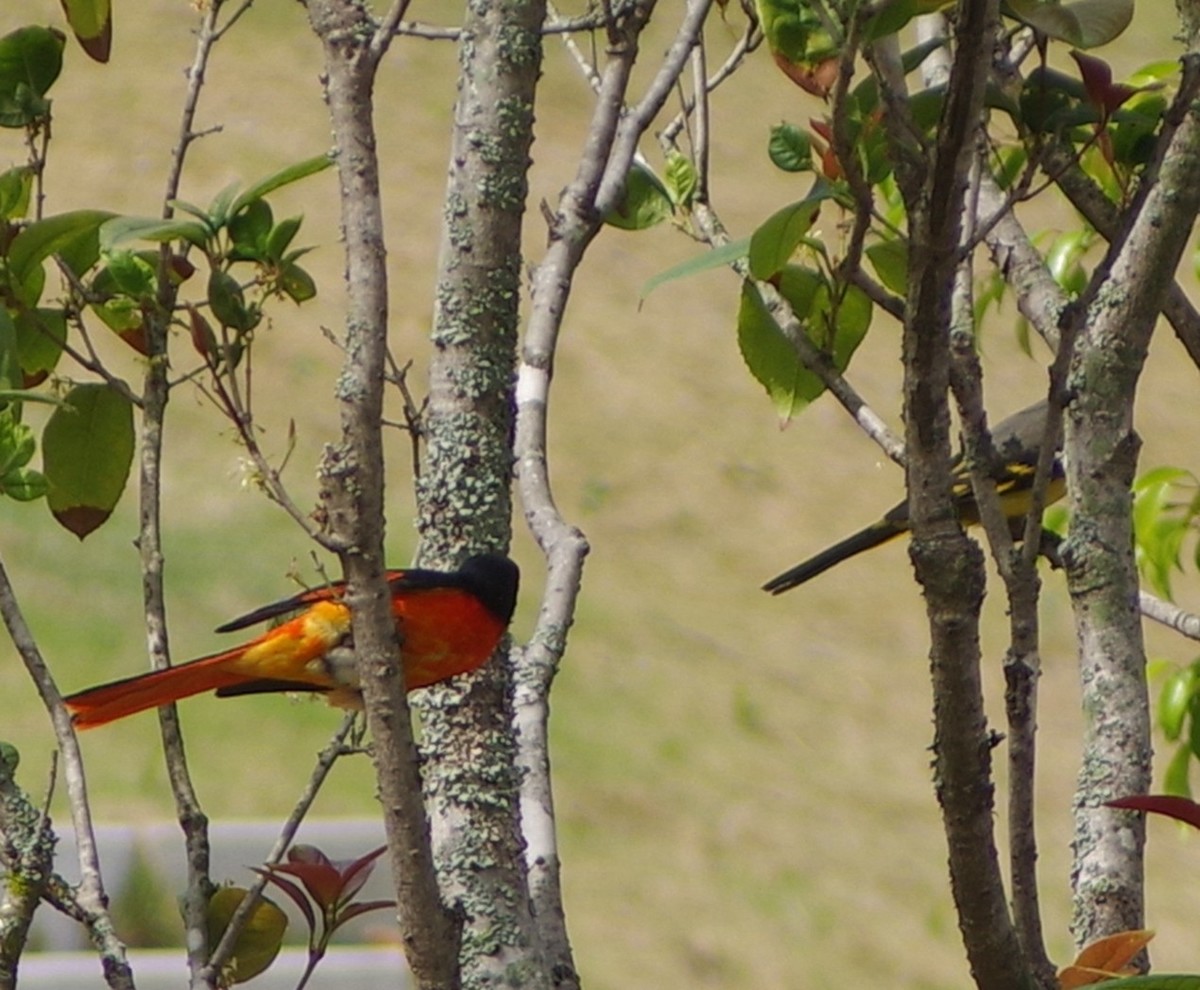 宾得F头试拍（三）