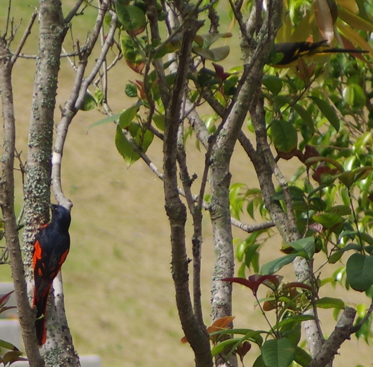 宾得F头试拍（三）
