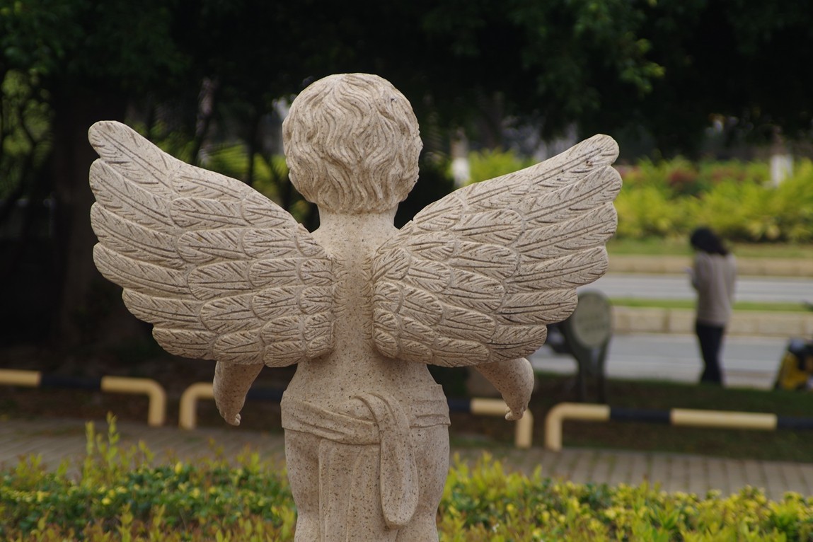 宾得F头试拍（三）