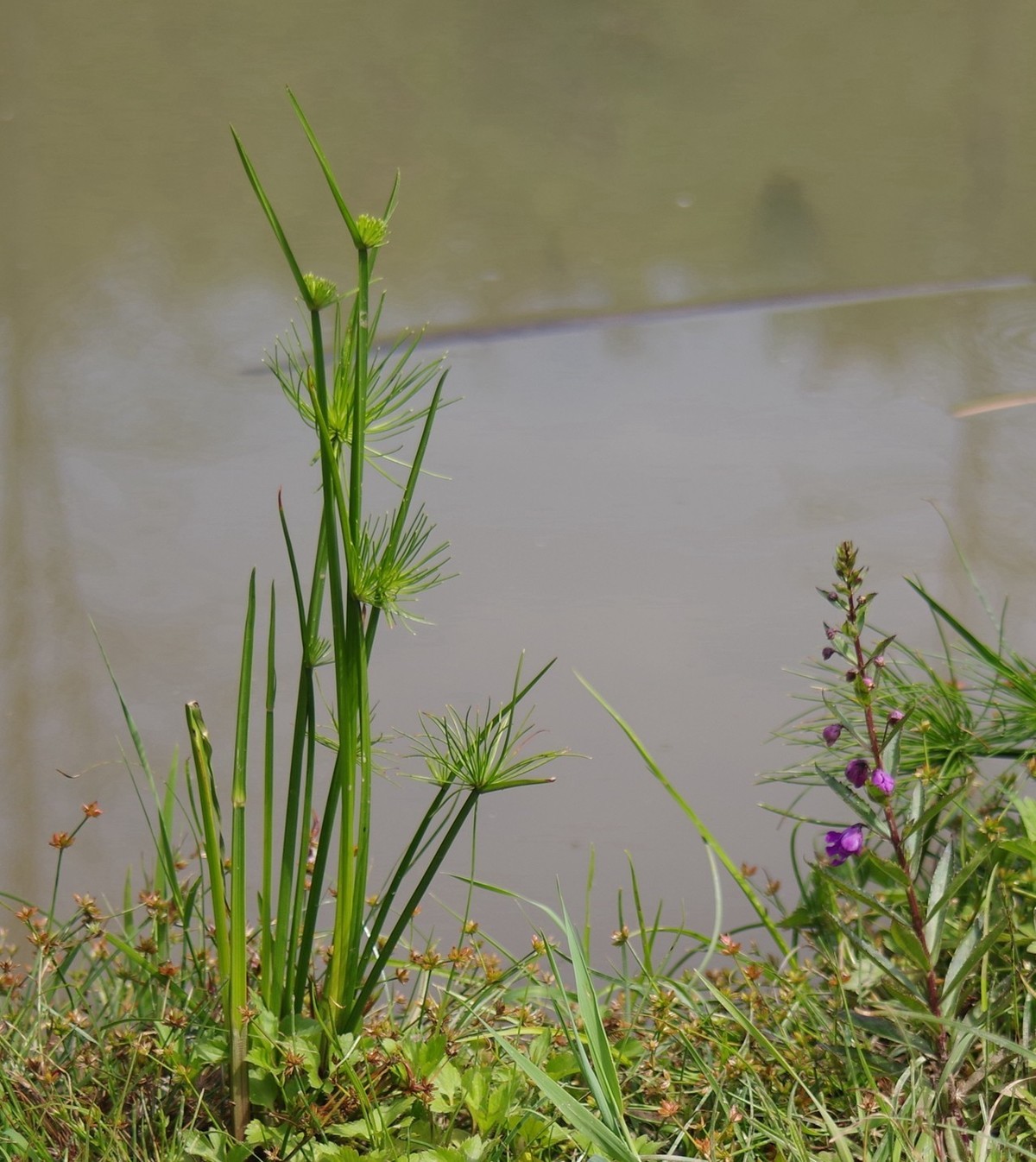 宾得F头试拍（三）