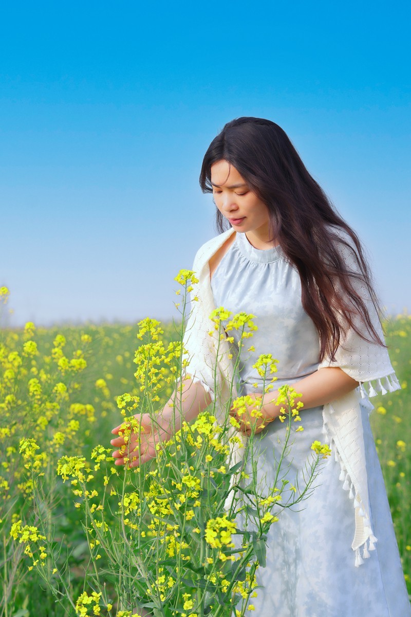 最后的绽放，定格不朽风华