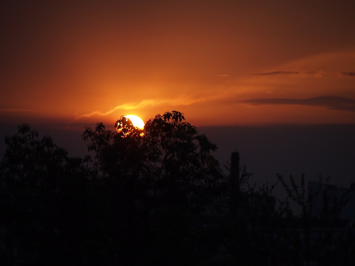 太阳回家咯（中）