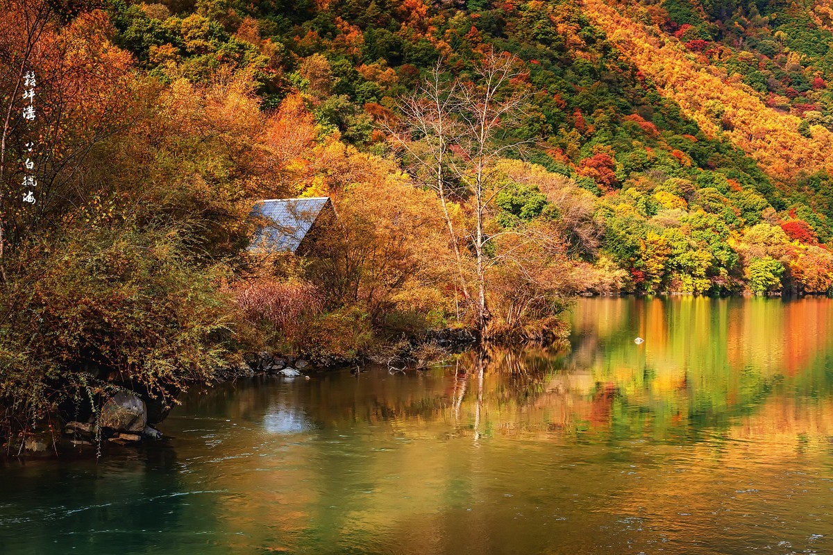 川西茂县：层林尽染松坪沟之上白腊海