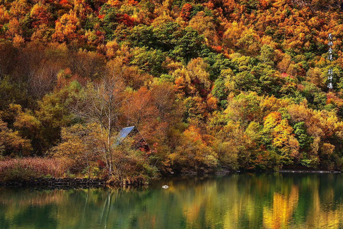 川西茂县：层林尽染松坪沟之上白腊海