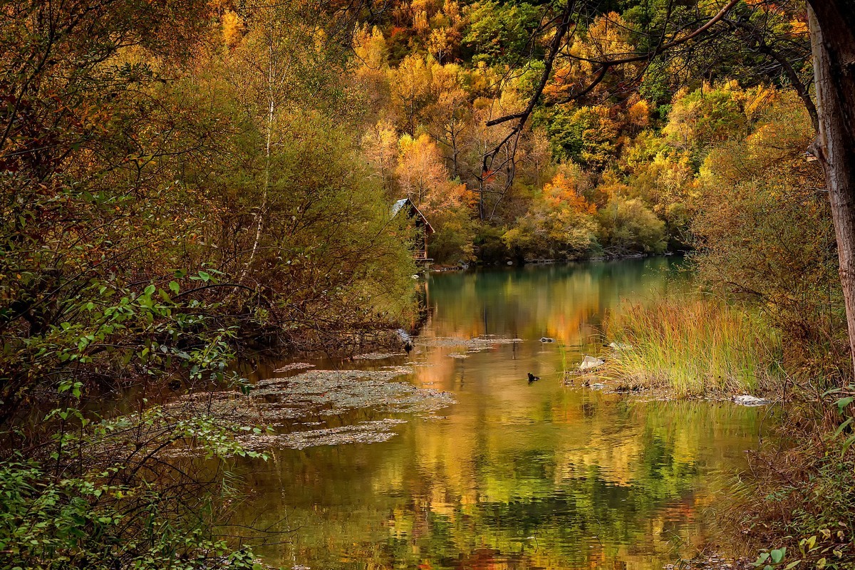 川西茂县：层林尽染松坪沟之上白腊海