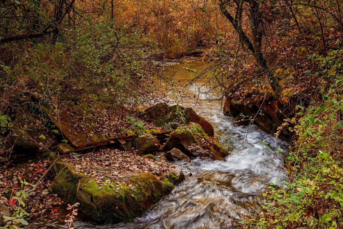 川西茂县：层林尽染松坪沟之上白腊海