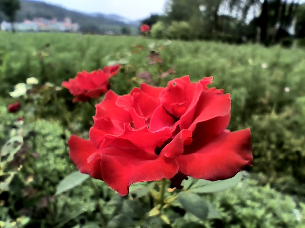 漫步星城 走街串巷（389）赤山幕冲旅游区