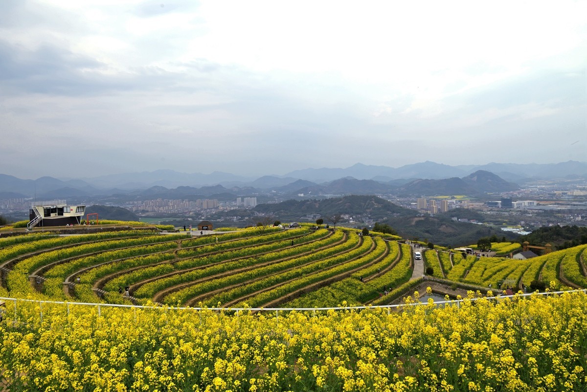 【杭州富阳-黑山顶油菜花 尼康Z5 24-200直出】