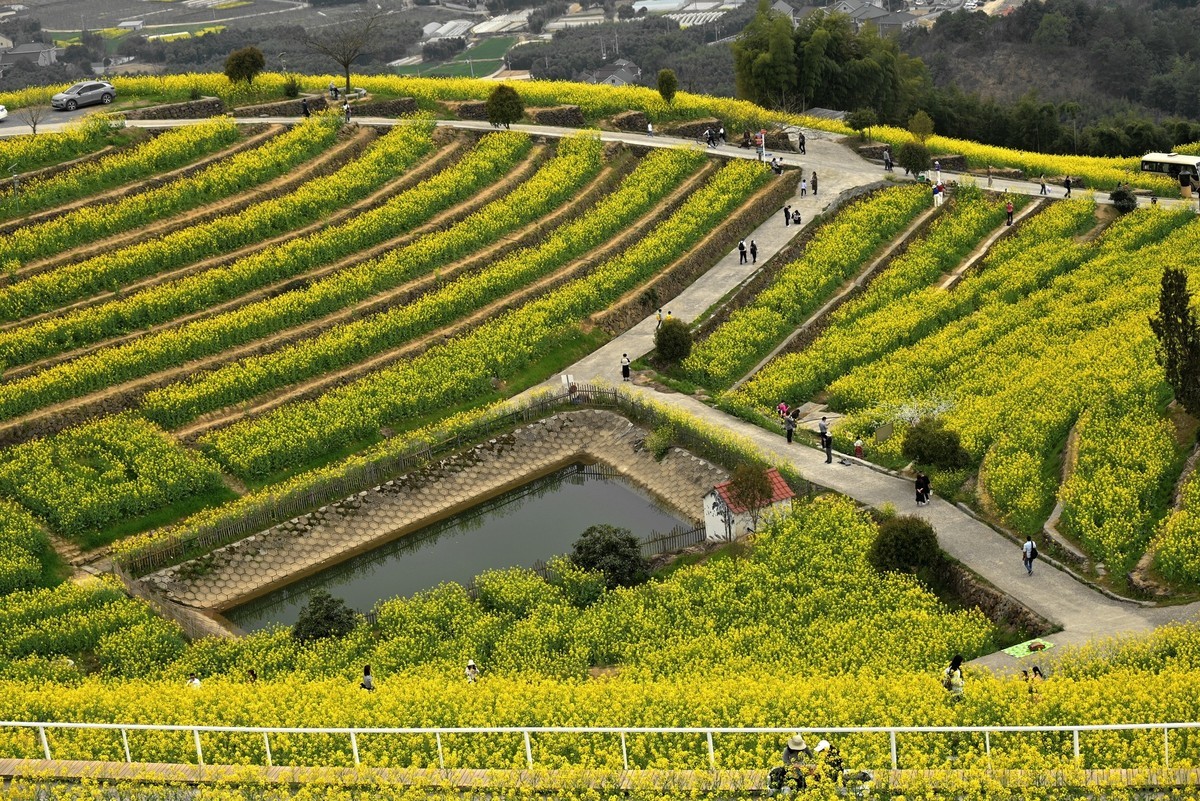 【杭州富阳-黑山顶油菜花 尼康Z5 24-200直出】