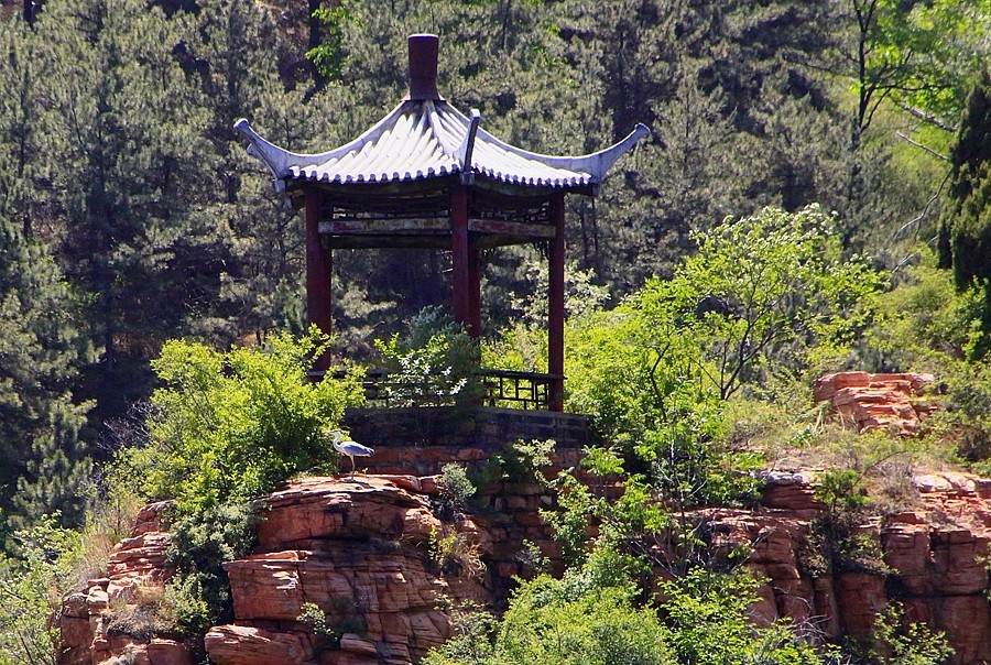 《不老松：纪实摄影》【大好河山系列报導】邯郸游摄！京娘湖景区！  (11)在游船上打到