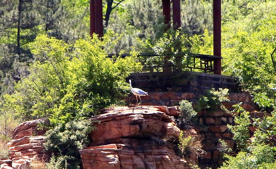《不老松：纪实摄影》【大好河山系列报導】邯郸游摄！京娘湖景区！  (11)在游船上打到