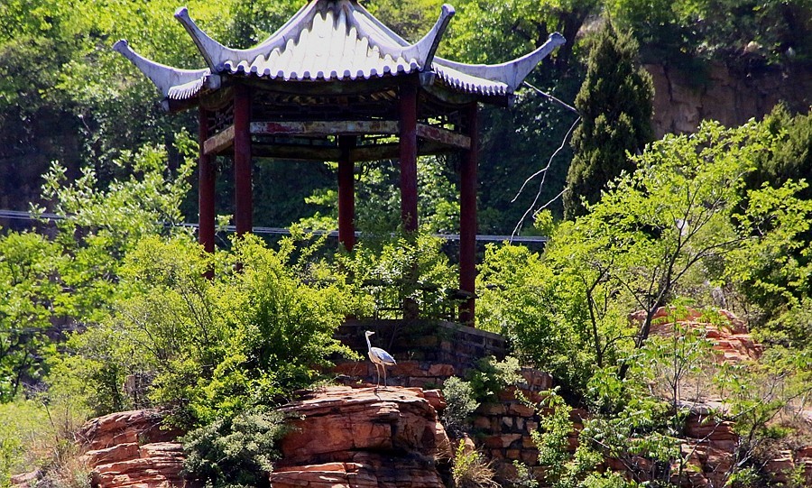 《不老松：纪实摄影》【大好河山系列报導】邯郸游摄！京娘湖景区！  (11)在游船上打到