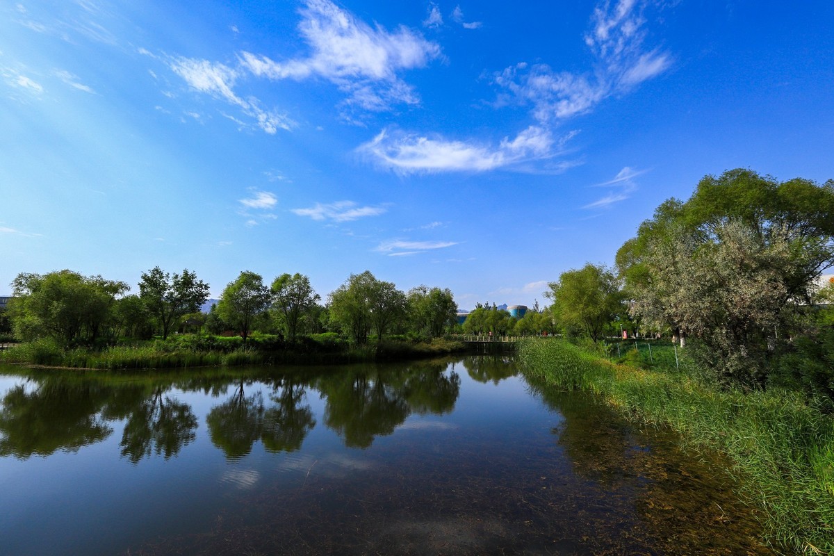 溜腿——溜机——溜乐趣（2）