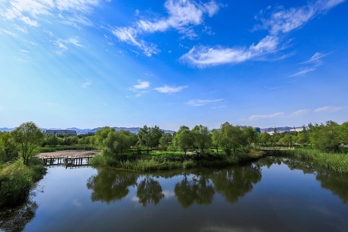 溜腿——溜机——溜乐趣（2）