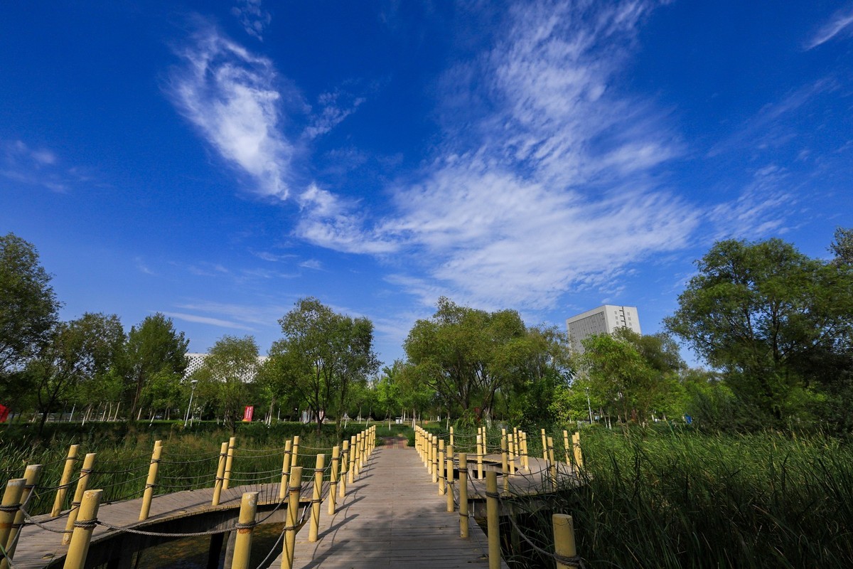 溜腿——溜机——溜乐趣（2）