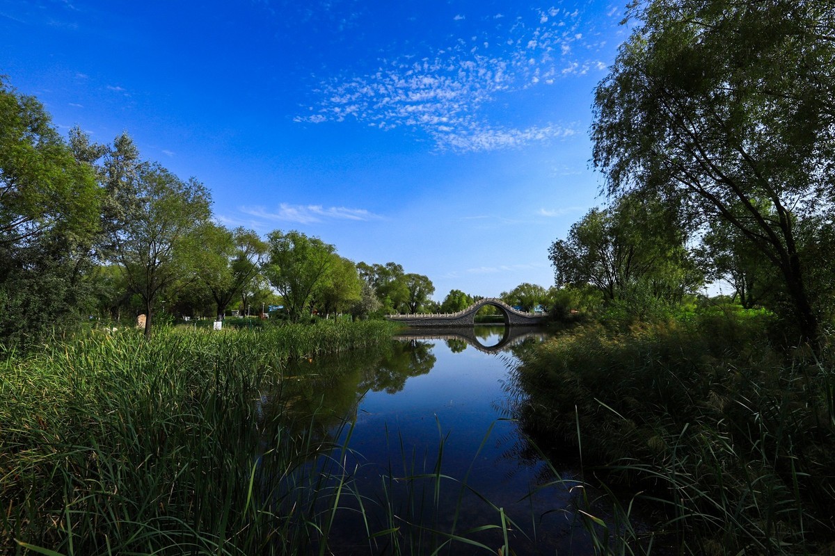 溜腿——溜机——溜乐趣（2）