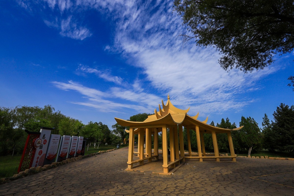 溜腿——溜机——溜乐趣（2）