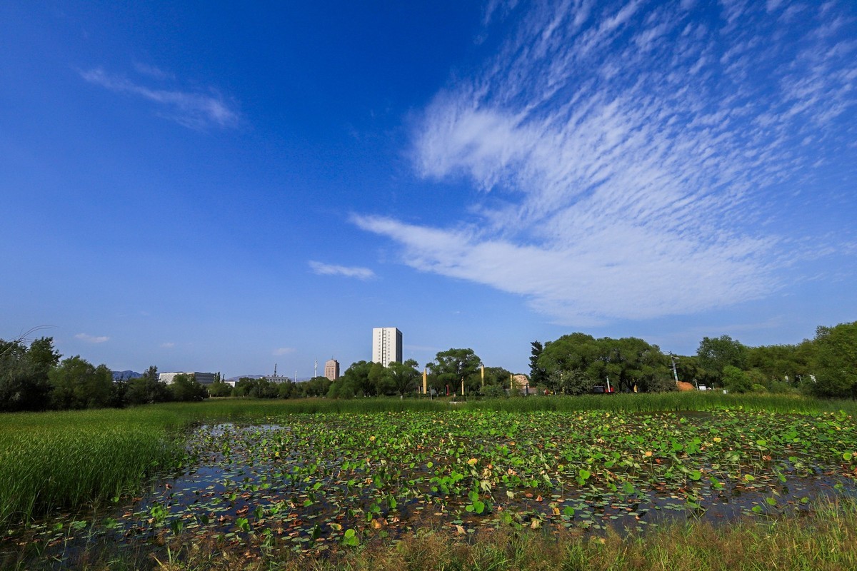 溜腿——溜机——溜乐趣（2）