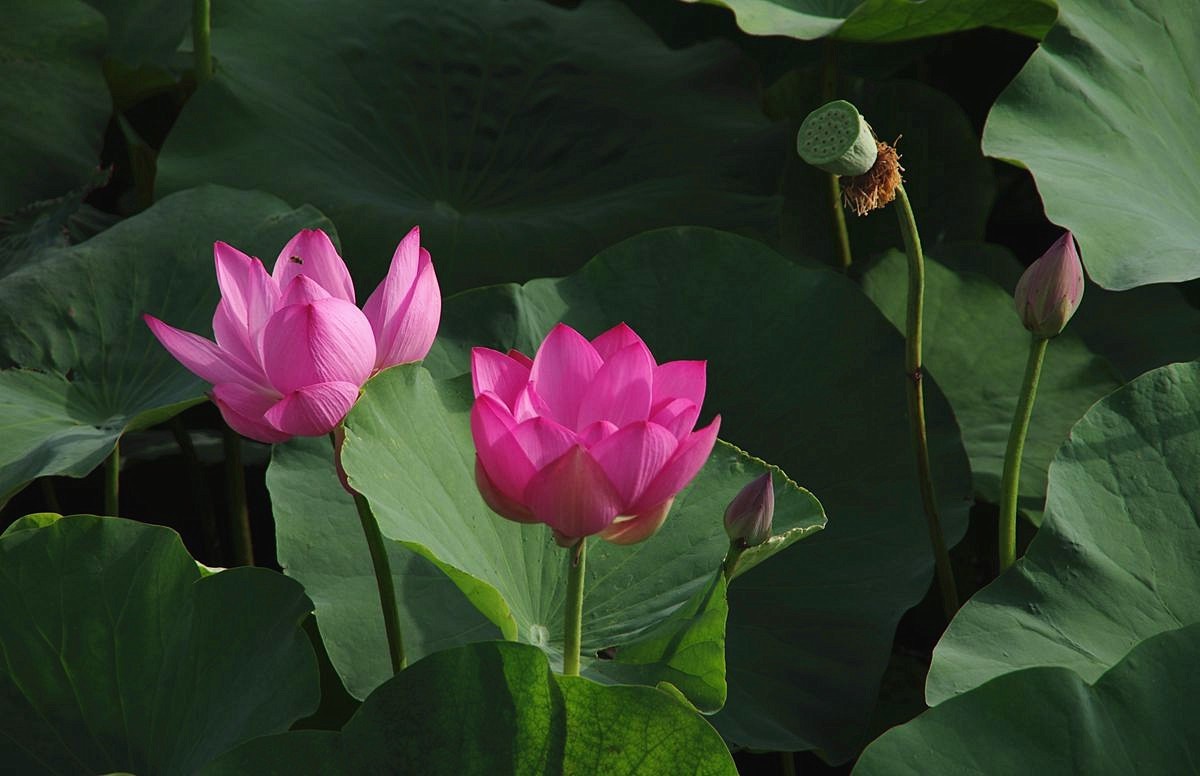 和和美美、中秋快乐