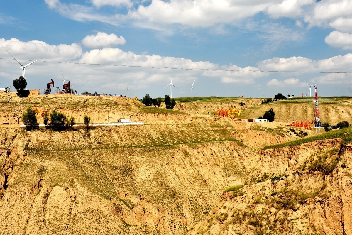 世界红花荞麦原产地——中国定边【3】