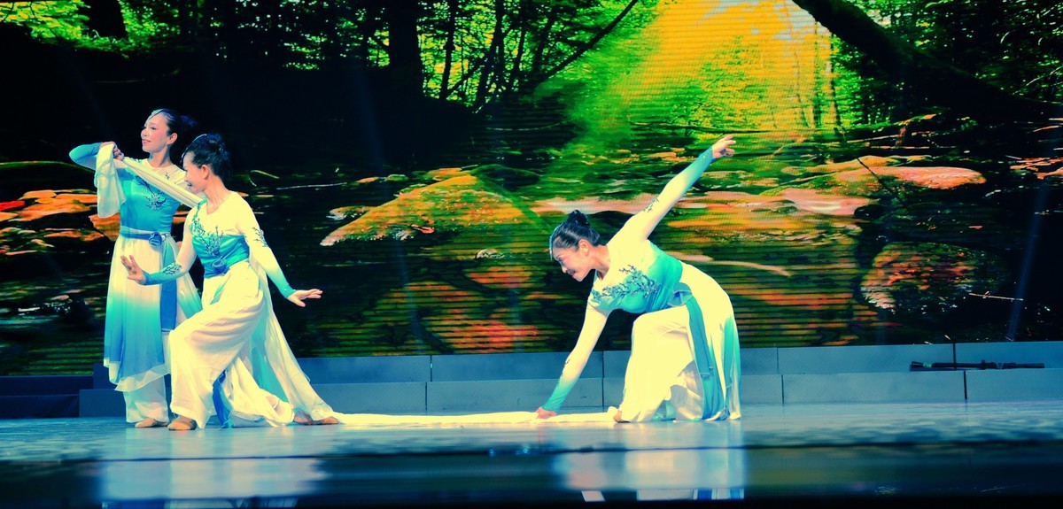 湖北省老年大学舞蹈团部分精彩演出