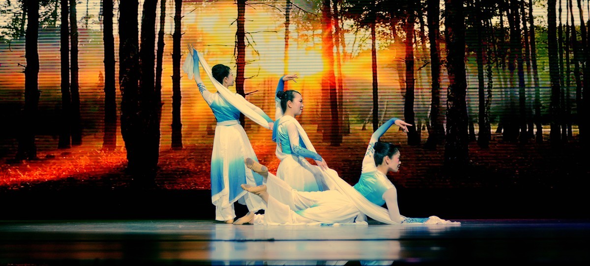 湖北省老年大学舞蹈团部分精彩演出