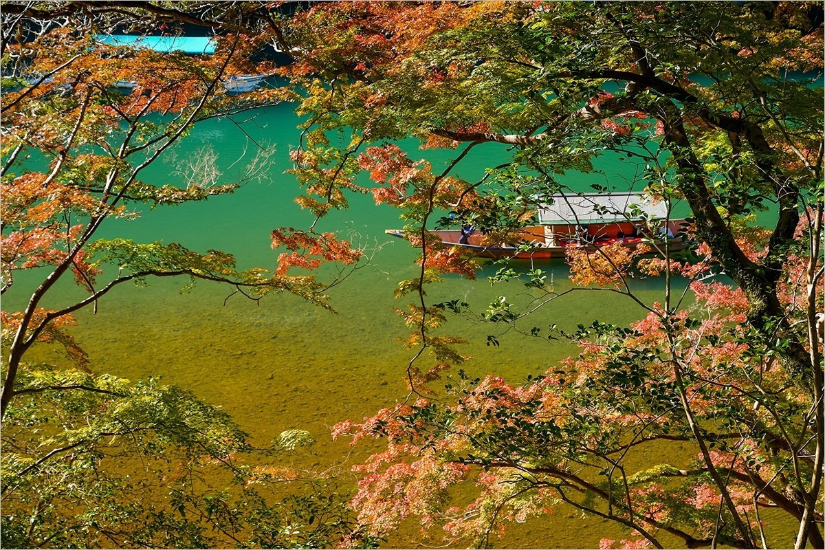 2025年第0050贴-京都岚山佑斋亭旅拍（0117）