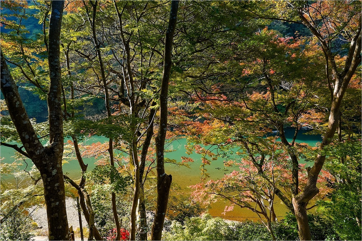 2025年第0050贴-京都岚山佑斋亭旅拍（0117）