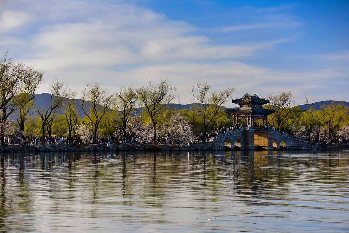 花开春光寻美景颐和园西堤桃花0324