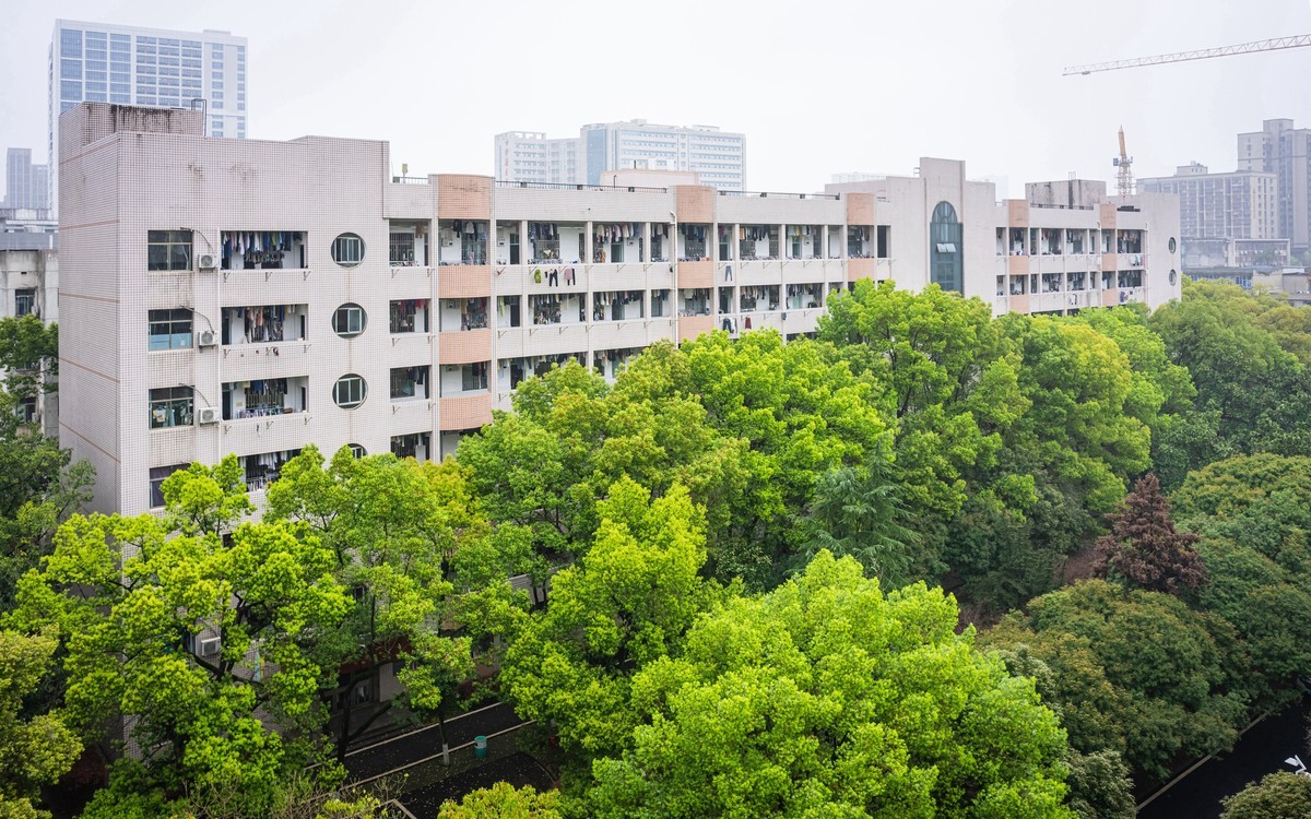 z72及Z26/2.8饼干头到手第一天感受