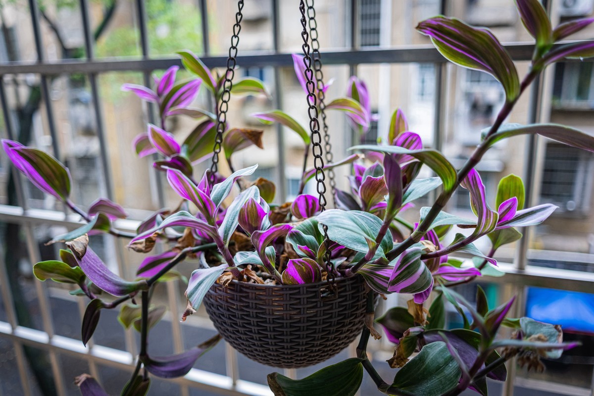 z72及Z26/2.8饼干头到手第一天感受