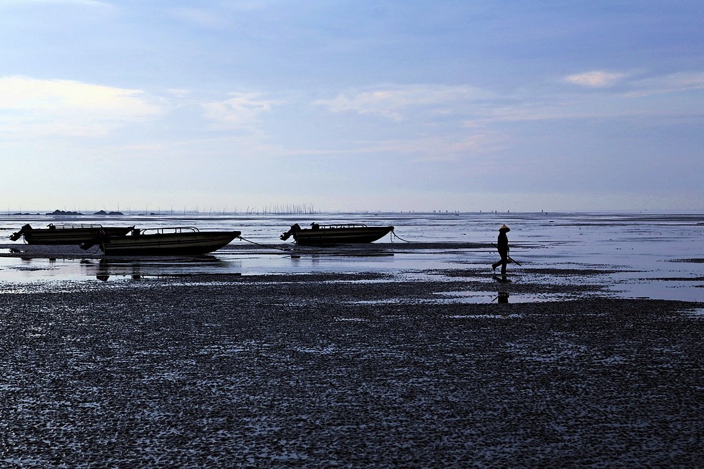 清晨滩涂寻宝贝（6幅）