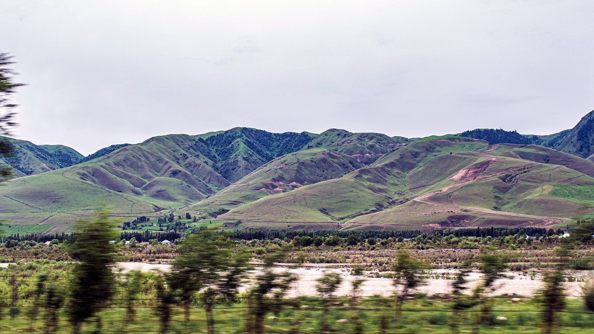 那拉提河谷草原【2】