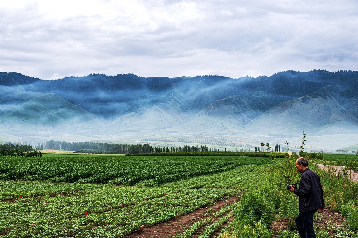 那拉提河谷草原【2】