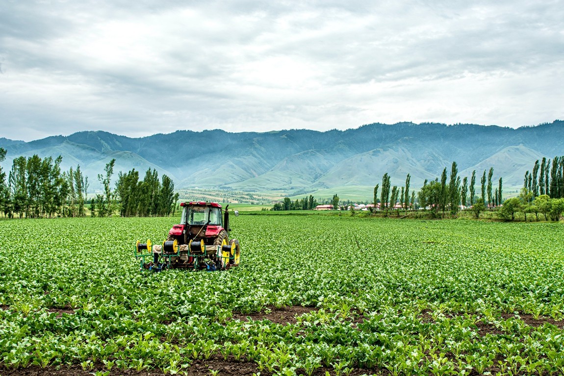 那拉提河谷草原【2】