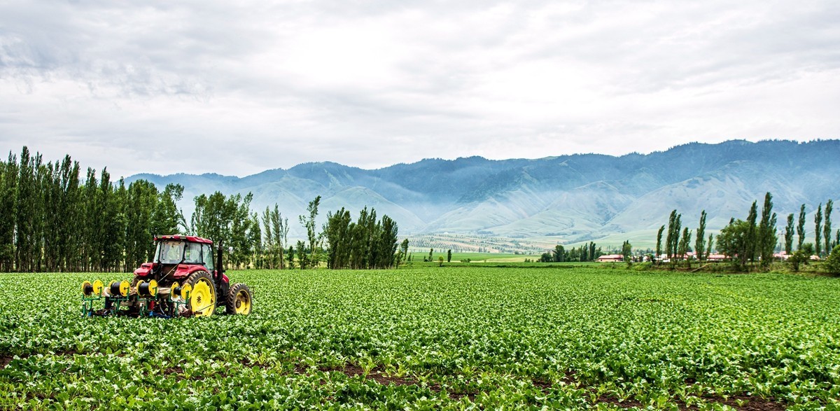 那拉提河谷草原【2】