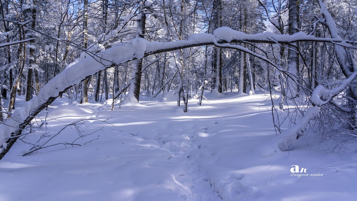 老克里湖林海雪原（31）
