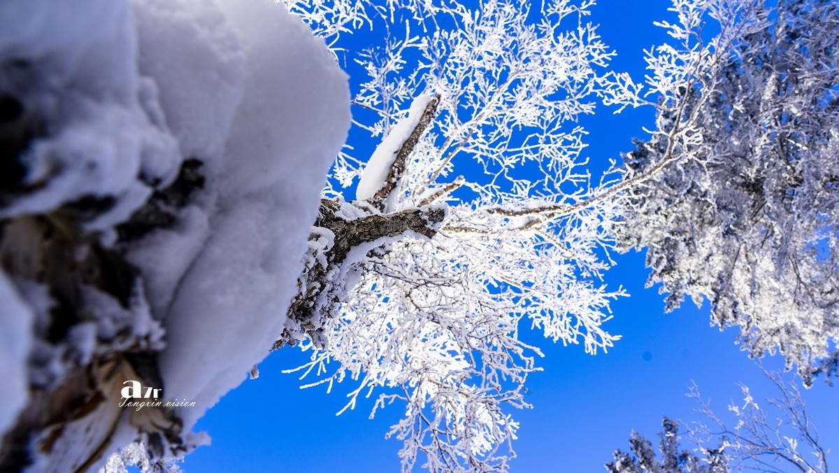 老克里湖林海雪原（31）
