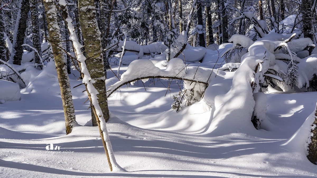 老克里湖林海雪原（31）